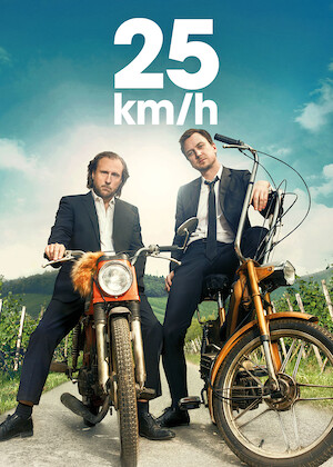 25 KM/H